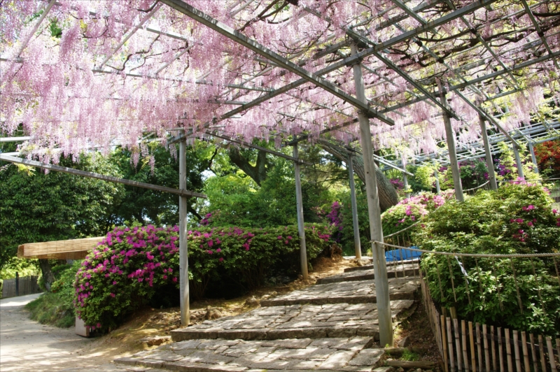 阿智神社