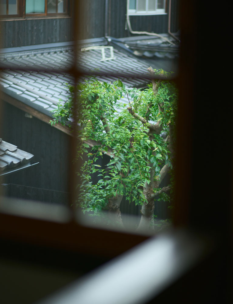 お部屋の写真